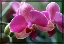 comp_DSC00647.webp