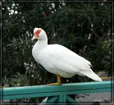 comp_DSC00579.webp