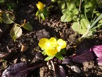 P1020071.webp