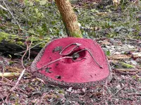 P1020107.JPG