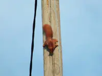 DSCF6405.webp