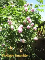 IMG_4868-002.webp