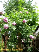 IMG_4843.webp
