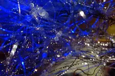 blue (76).webp