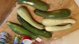 20150815_124005.webp