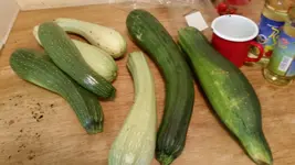 20150815_123945.webp