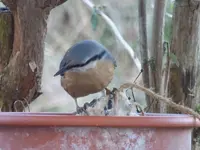 P1020135.webp