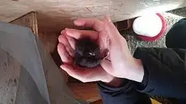 20160119_132223.webp