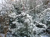 Bilda011.webp