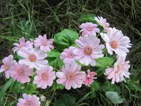 Oktober 10 810v.webp