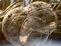 image.webp image.webp