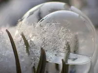 image.webp image.webp