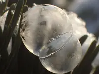 image.webp image.webp