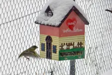 DSCN4201.webp