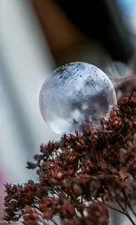 IMG_4796-2.webp