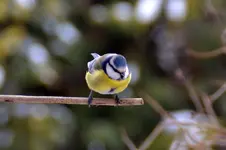 DSC_4843.webp