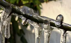 wntr16 (1).webp