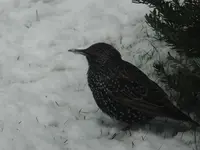 DSCF9165.jpg