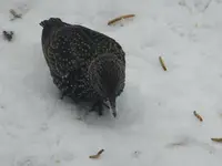 DSCF9168.webp