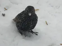DSCF9169.webp