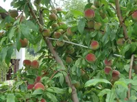 DSC05402_.webp