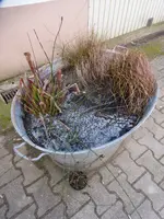 P1020460.webp
