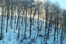 DSCF5079 (2).webp