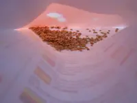 DSCN3492.webp