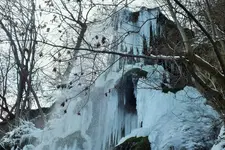 DSCF5198 (2).webp