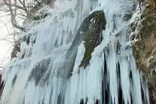 DSCF5199 (2).webp