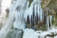 DSCF5200 (2).webp