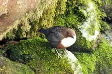 DSCF5151 (2).webp