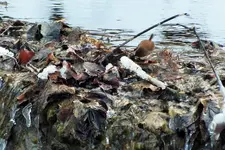 DSCF5173 (2).webp