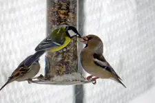 DSCN4176.webp