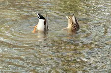 DSCF5111 (2).webp