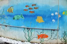DSCF5226 (2).webp