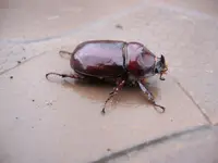 DSC02936_.webp