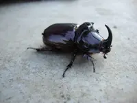 DSC03014_.webp
