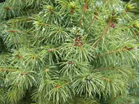 DSCN0055.webp