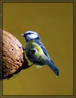 comp_DSC00664.webp