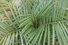 SAM_0689.webp