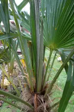 SAM_0696.webp