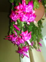 IMG_20160122_163222.webp