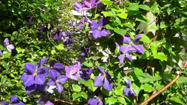 DSCN3311.jpg