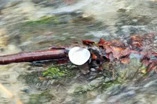 DSCF5161 (2).webp