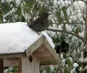 DSCN9963.webp