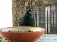 DSCN9998.webp