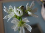 DSC04758.jpg