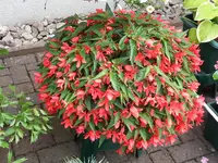 20150801_130228.jpg