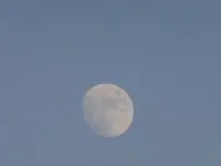 P1020512.webp